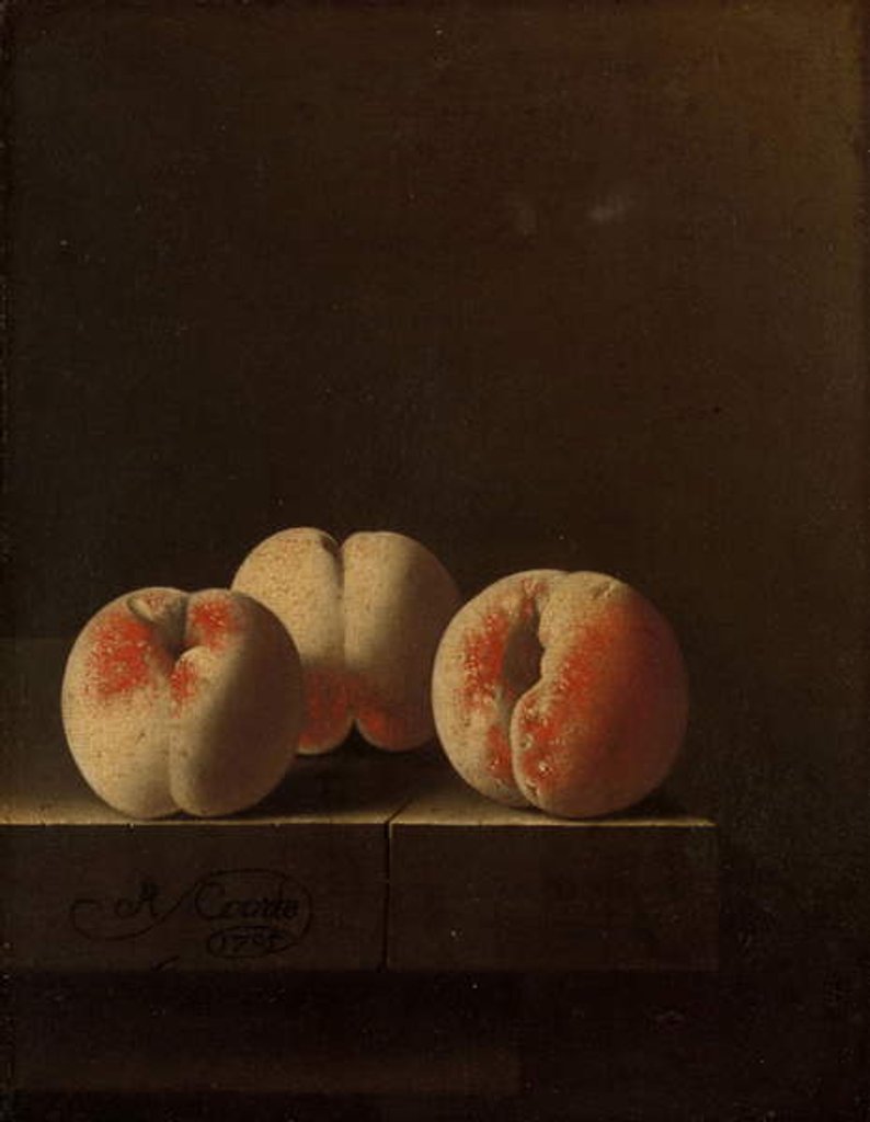 Detail of Three Peaches on a Stone Plinth, 1705 by Adrian Coorte