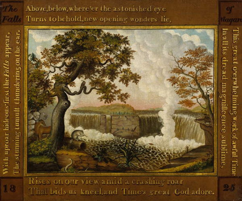 Detail of The Falls of Niagara, c.1825 by Edward Hicks