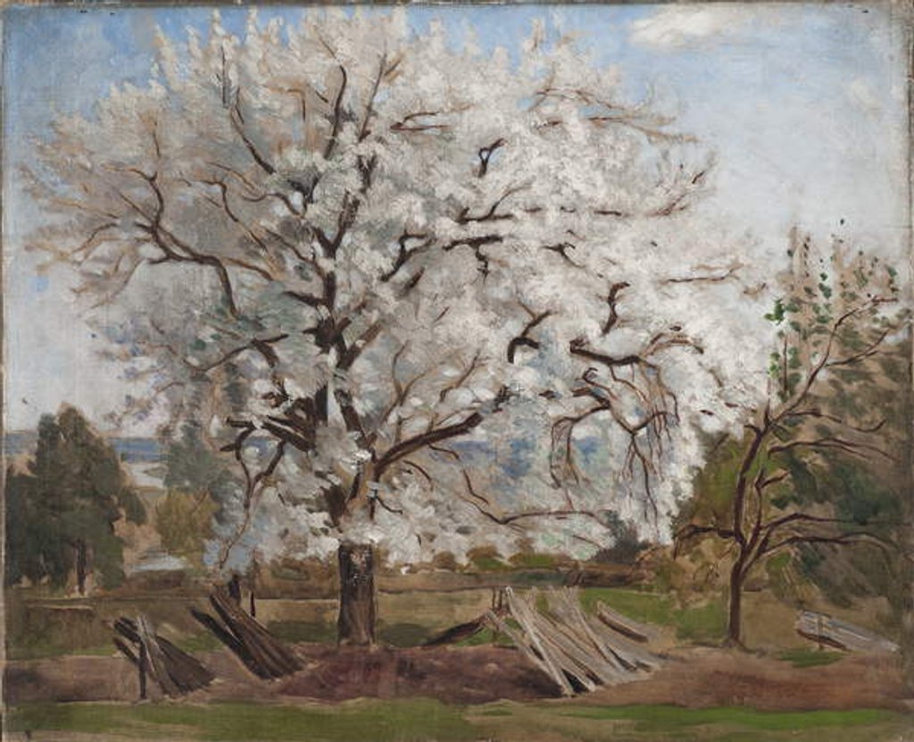 Detail of Apple Tree in Blossom, 1877 by Carl Fredrik Hill