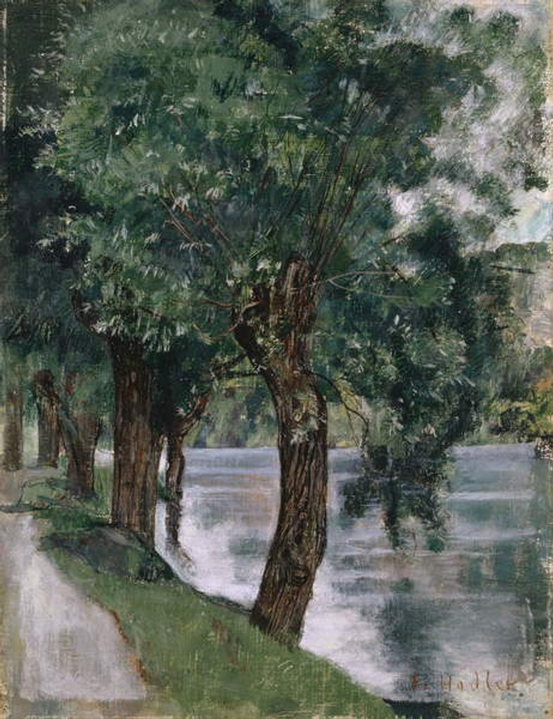 Detail of Willow Trees at the Rhone, c.1885 by Ferdinand Hodler