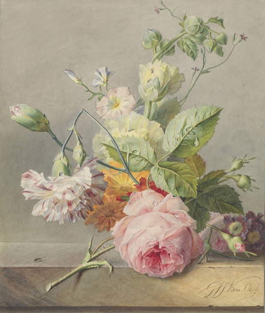 Detail of Floral Still Life, c.1800-25 by Georgius Jacobus Johannes van Os