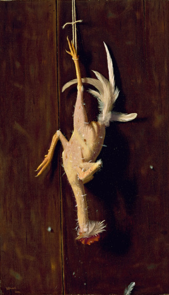 Detail of Plucked Clean, 1882 by William Michael Harnett
