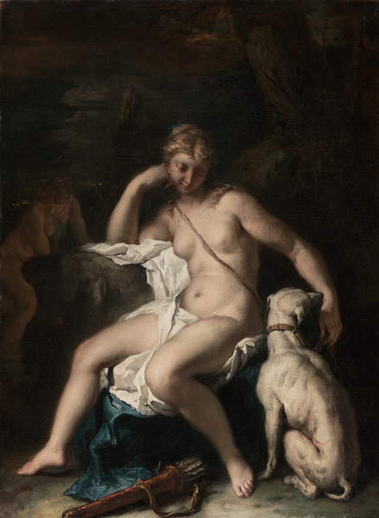 Detail of Diana and her Dog, c.1717-20 by Sebastiano Ricci