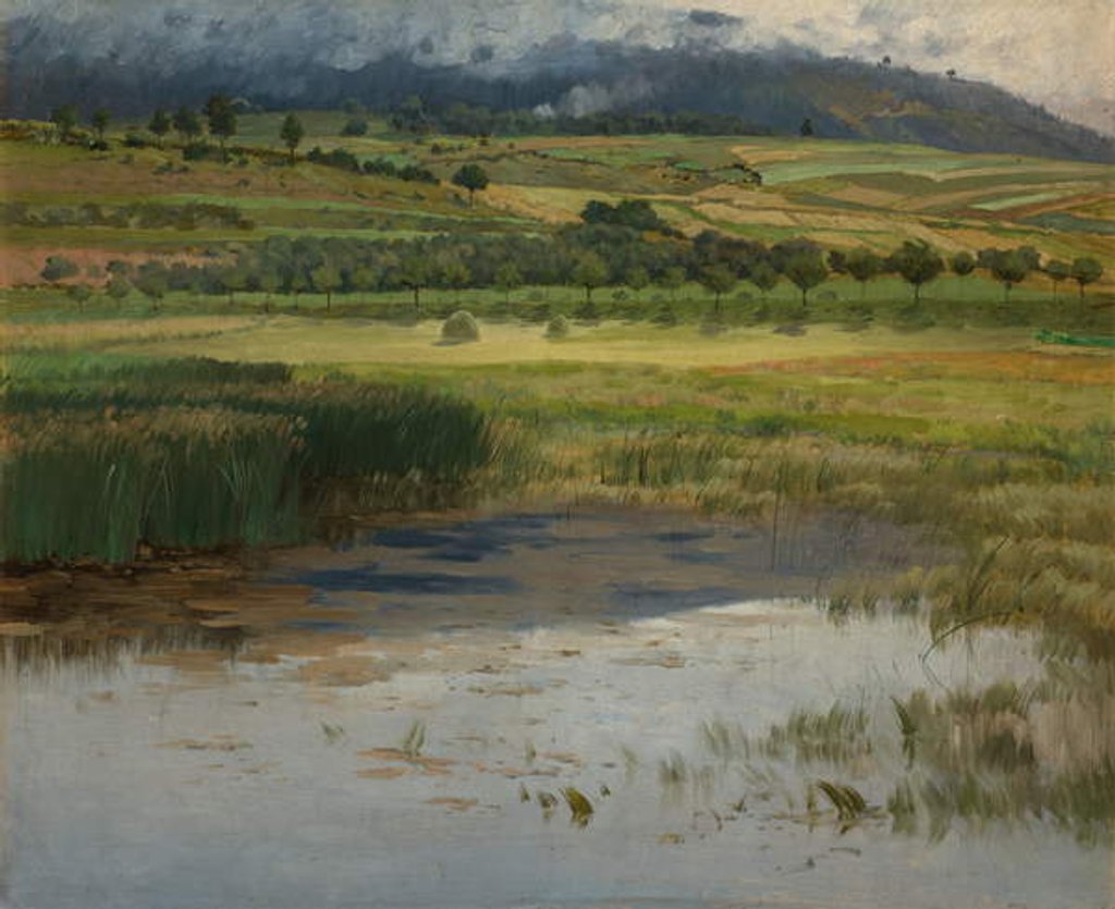 Detail of The 'Drowned“ Pond, 1887 by Antonin Chittussi