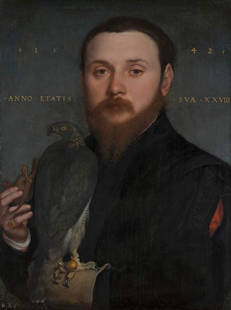 Detail of Portrait of a Nobleman with a Hawk, 1542 by Hans Holbein the Younger