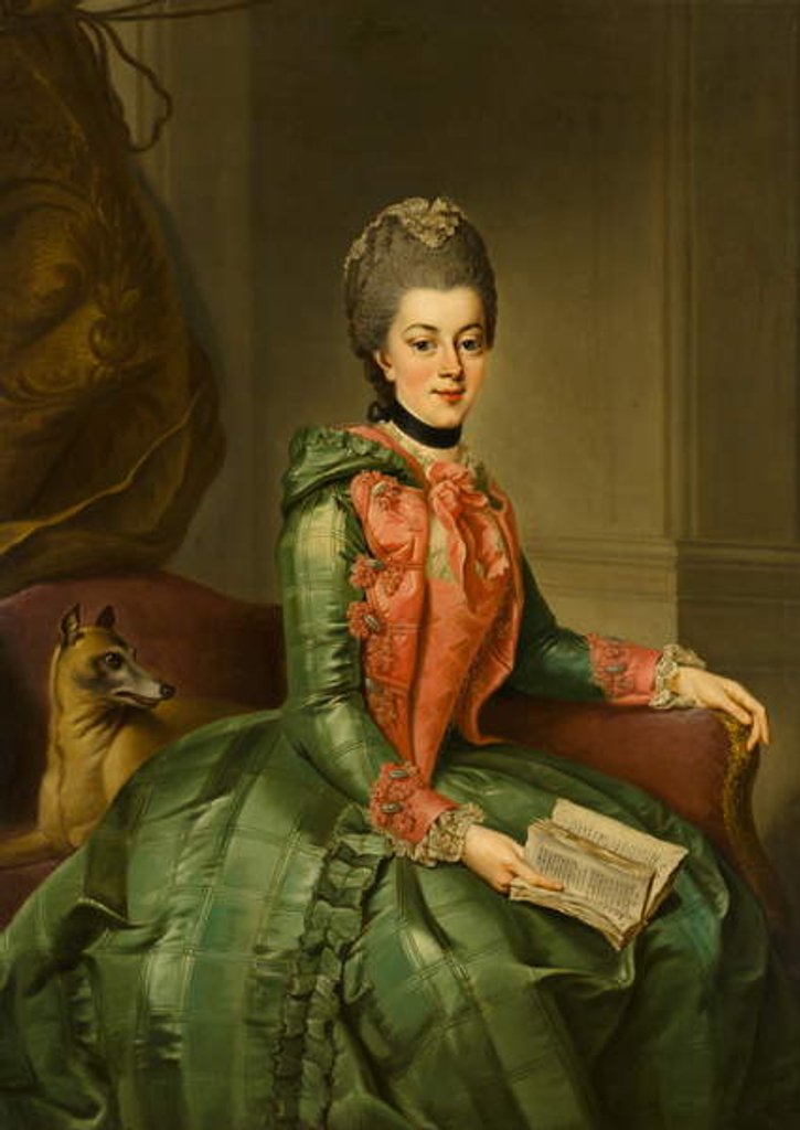 Detail of Portrait of Princess Frederika Sophia Wilhelmina, c.1768-69 by Johann Georg Ziesenis