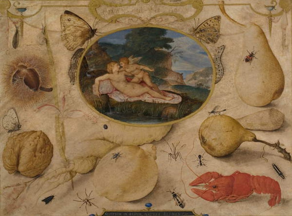 Detail of Venus disarming Amor in a medallion surrounded by plants, fruits, insects and shellfish, c. 1595 by Joris Hoefnagel