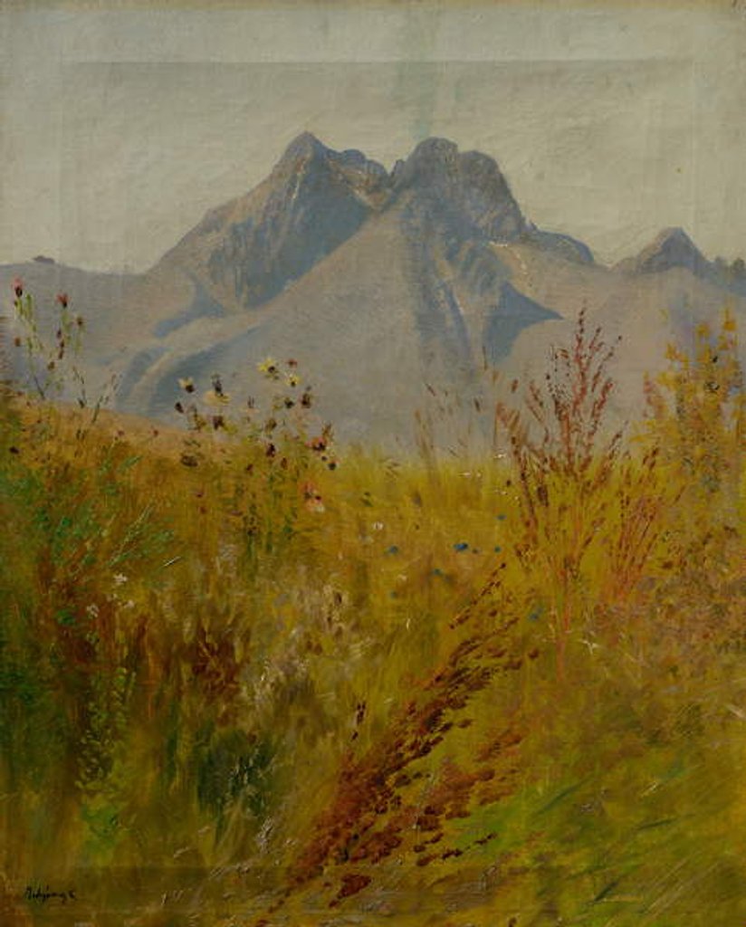 Detail of Lomnický Peak, 1890 by Laszlo Mednyanszky