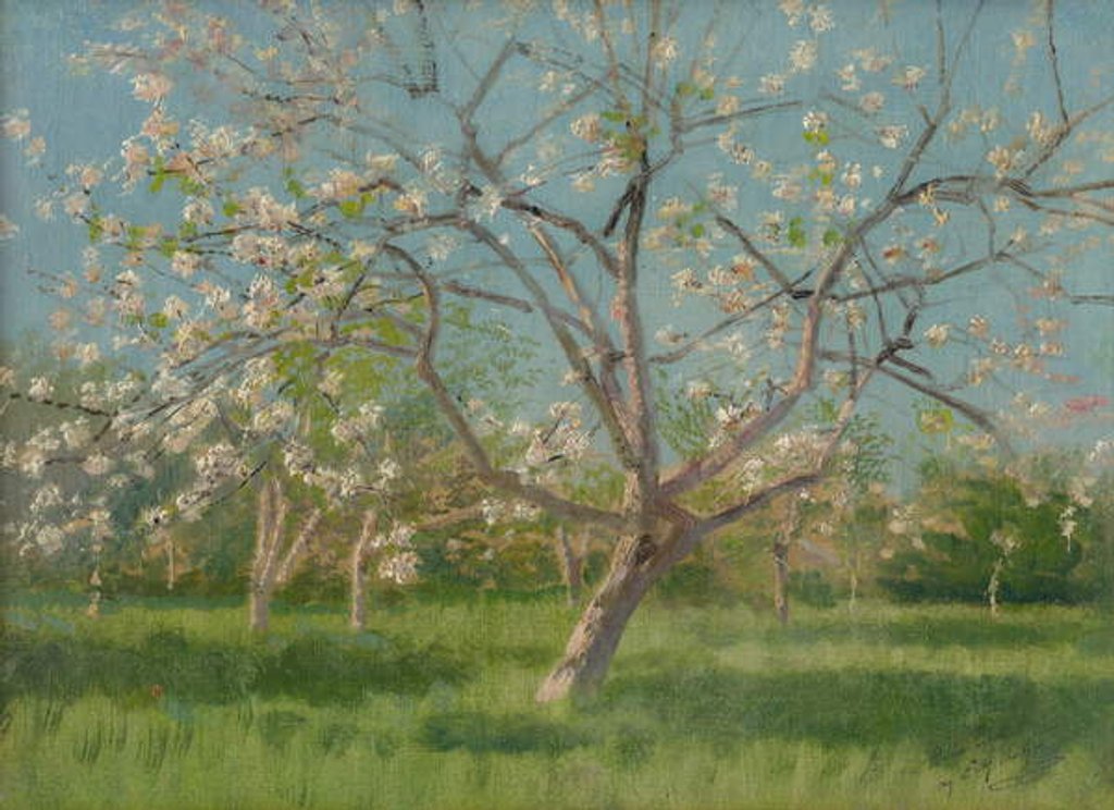 Detail of Orchard trees in blossom, 1900-10 by Laszlo Mednyanszky