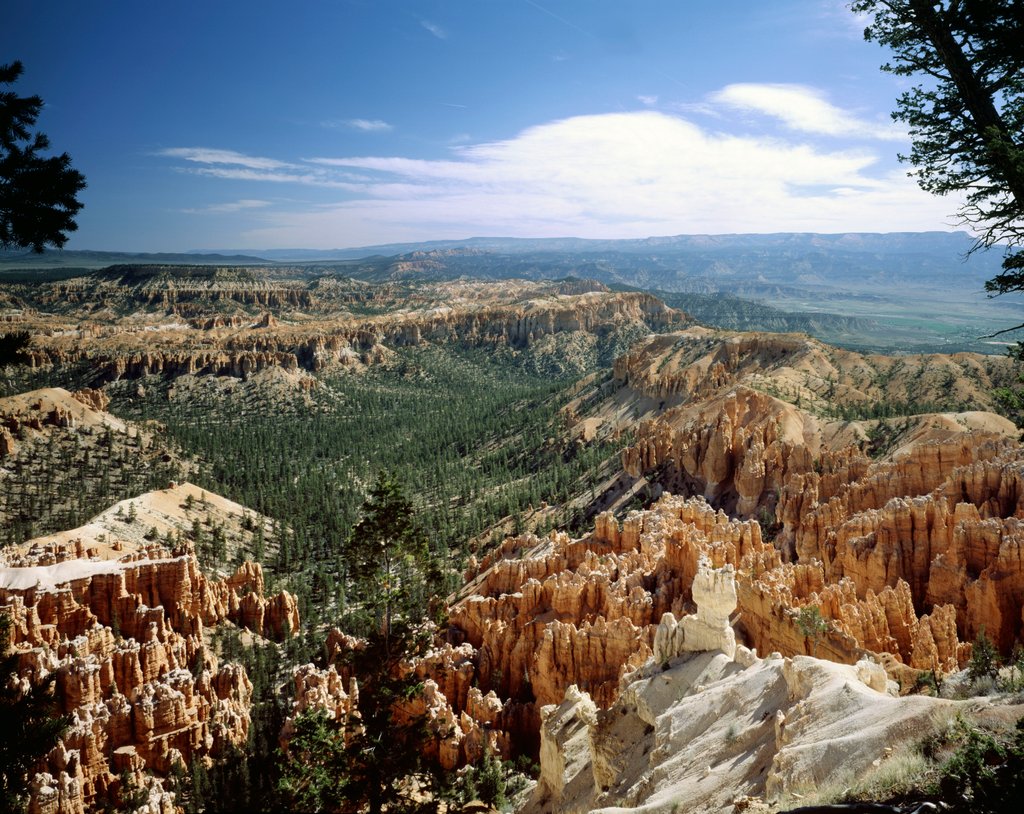 Detail of Bryce Canyon National Park, Utah by Anonymous