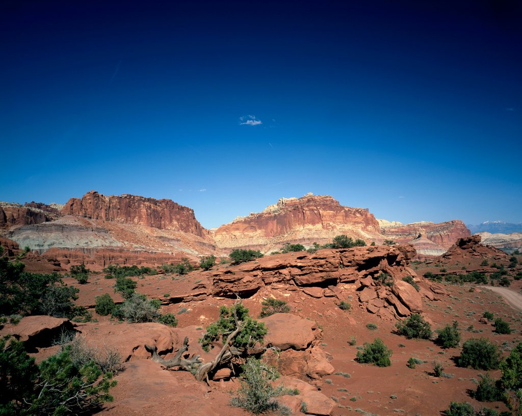 Detail of Capitol Dome and Chimney Rock, Capitol Reef National Park, Utah by Anonymous