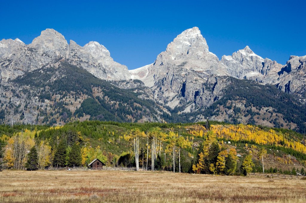 Detail of Grand Teton National Park, Wyoming by Anonymous