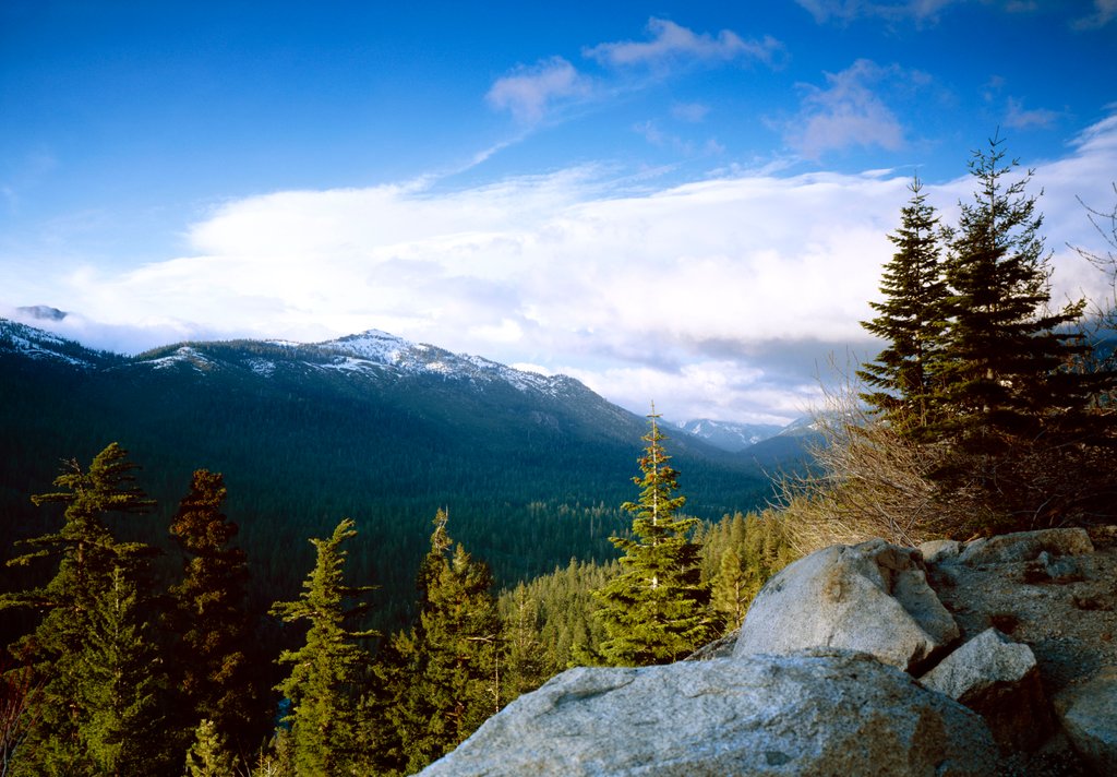 Detail of Storm in the mountains, Yosemite National Park, California by Anonymous