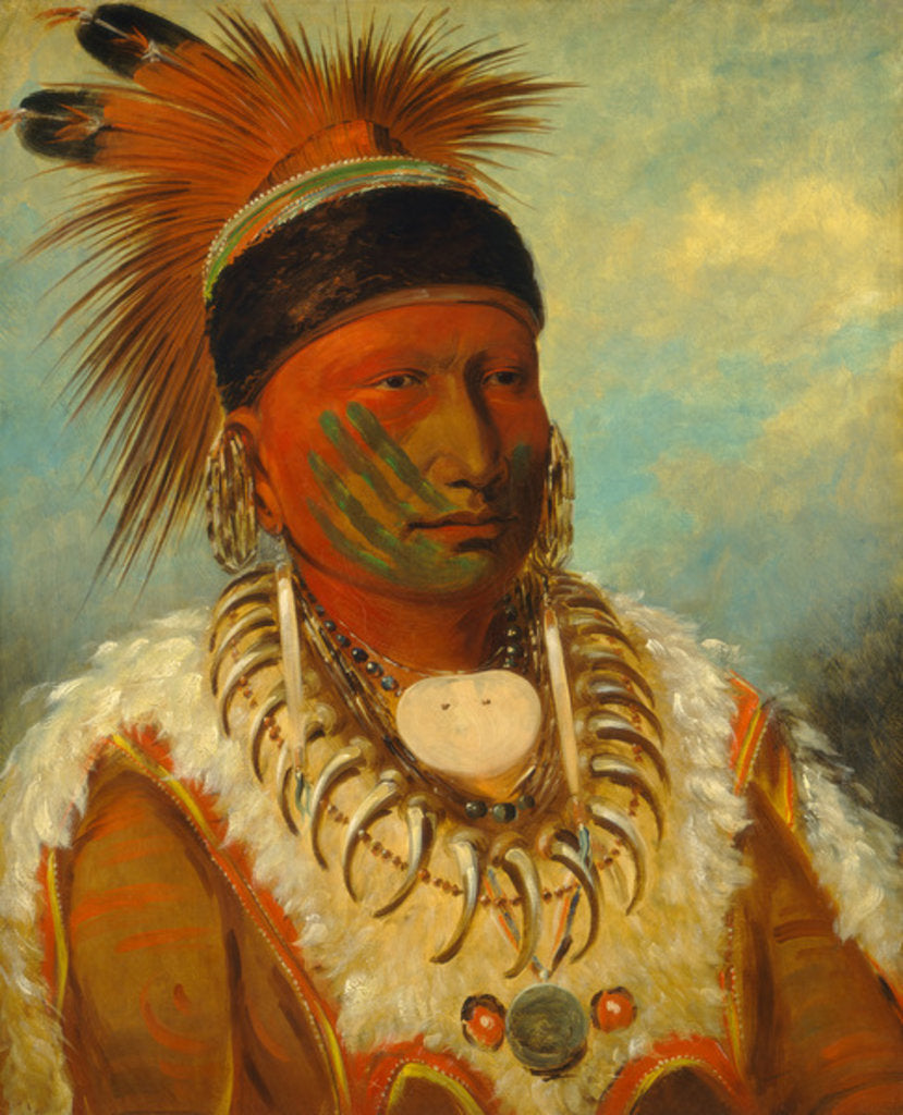Detail of The White Cloud, Head Chief of the Iowas, 1844-45 by George Catlin
