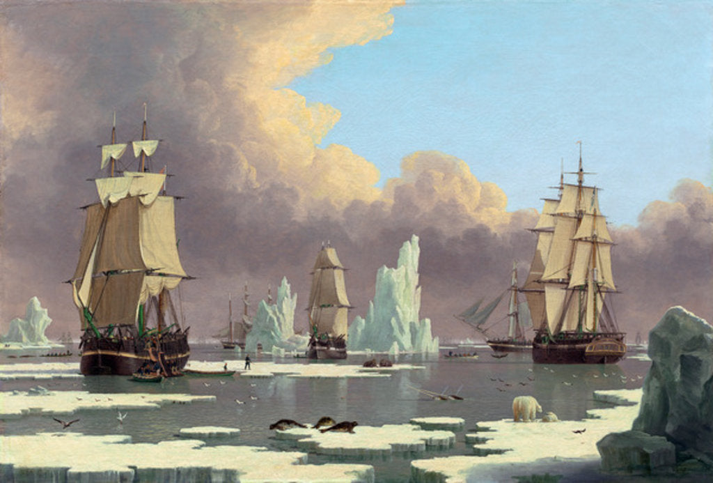 Detail of The Northern Whale Fishery: The 'Swan' and 'Isabella', c. 1840 by John of Hull Ward