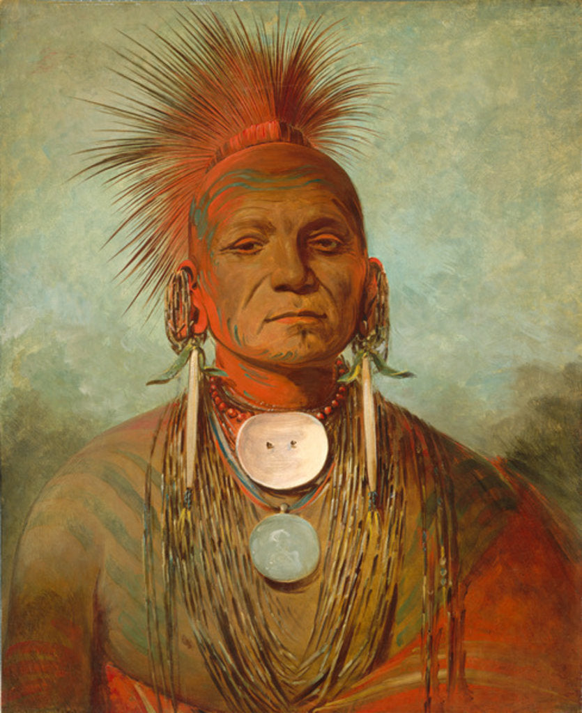 Detail of See-non-ty-a, an Iowa Medicine Man, 1844-45 by George Catlin