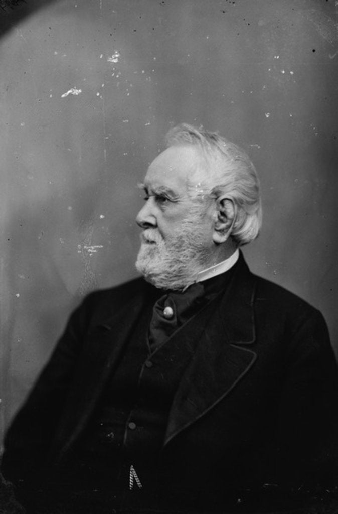 Detail of W.W. Corcoran, 1870-80 by American Photographer