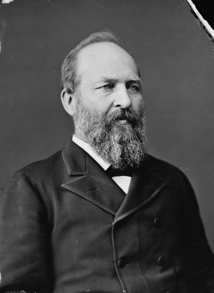 Detail of President James Garfield, 1870-80 by Mathew & studio Brady