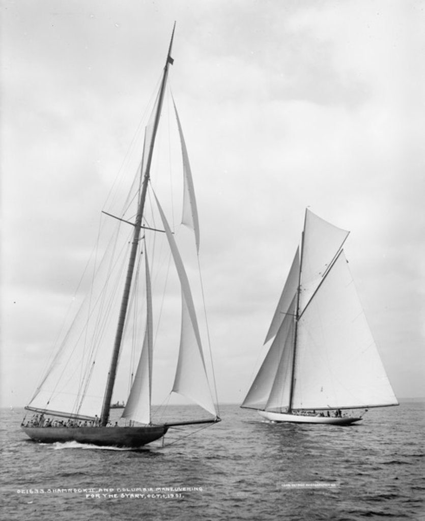 Detail of Shamrock II and Columbia at the start of the America's Cup, 1901 by Detroit Publishing Co.