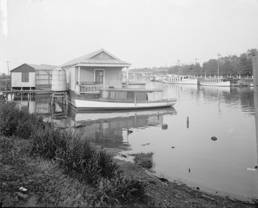 Detail of Along Bayou Saint John, New Orleans, 1910 by Detroit Publishing Co.