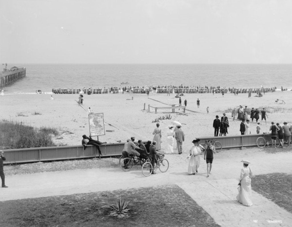 Detail of Palm Beach, Florida, c.1905 by Detroit Publishing Co.