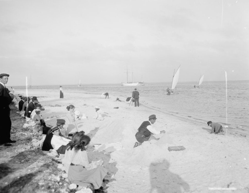 Detail of On the shore of Biscayne Bay, Miami, Florida, c.1905 by Detroit Publishing Co.