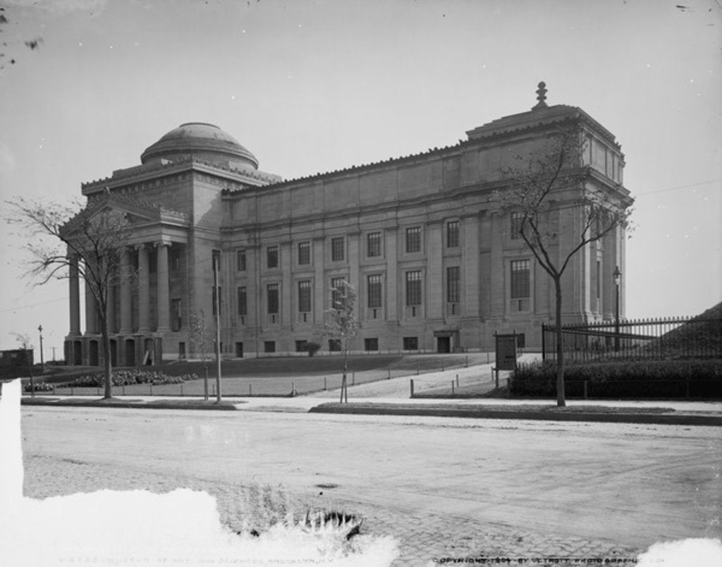Detail of Museum of Art and Sciences, Brooklyn by Anonymous