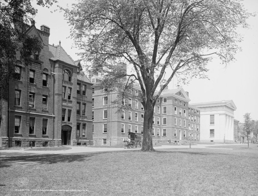 Detail of The Middle campus, Brown University, Providence, R.I. by Anonymous