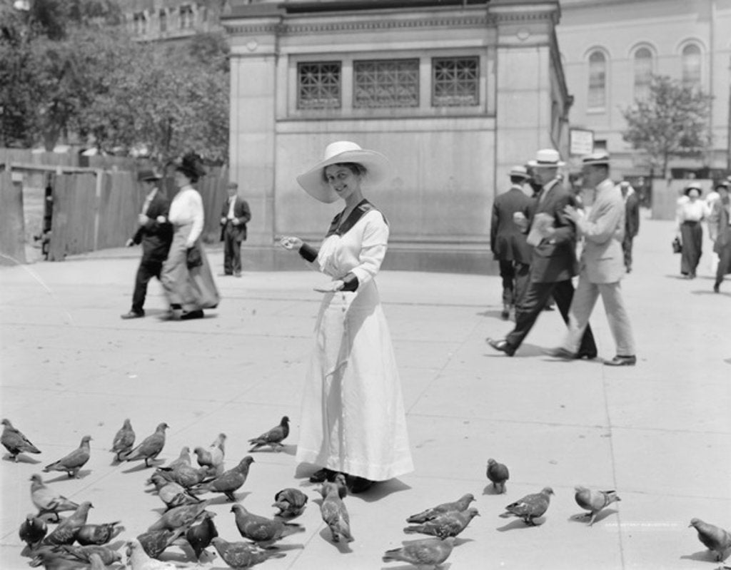 Detail of Feeding the pigeons, Boston Common by Anonymous