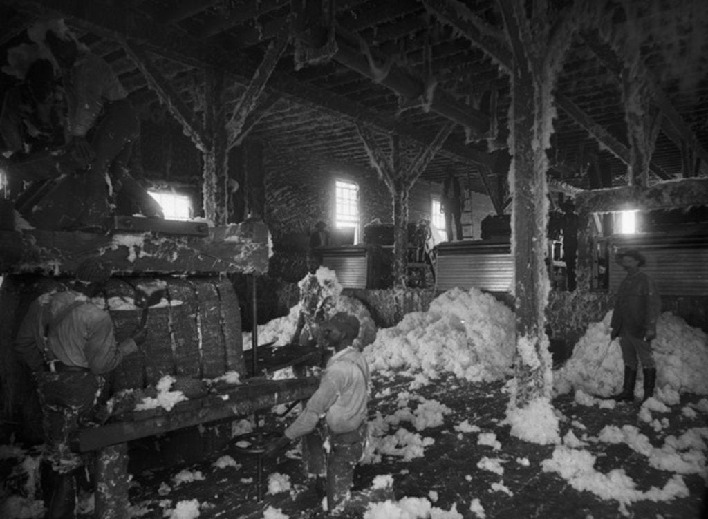 Detail of Cotton gin at Dahomey by Anonymous