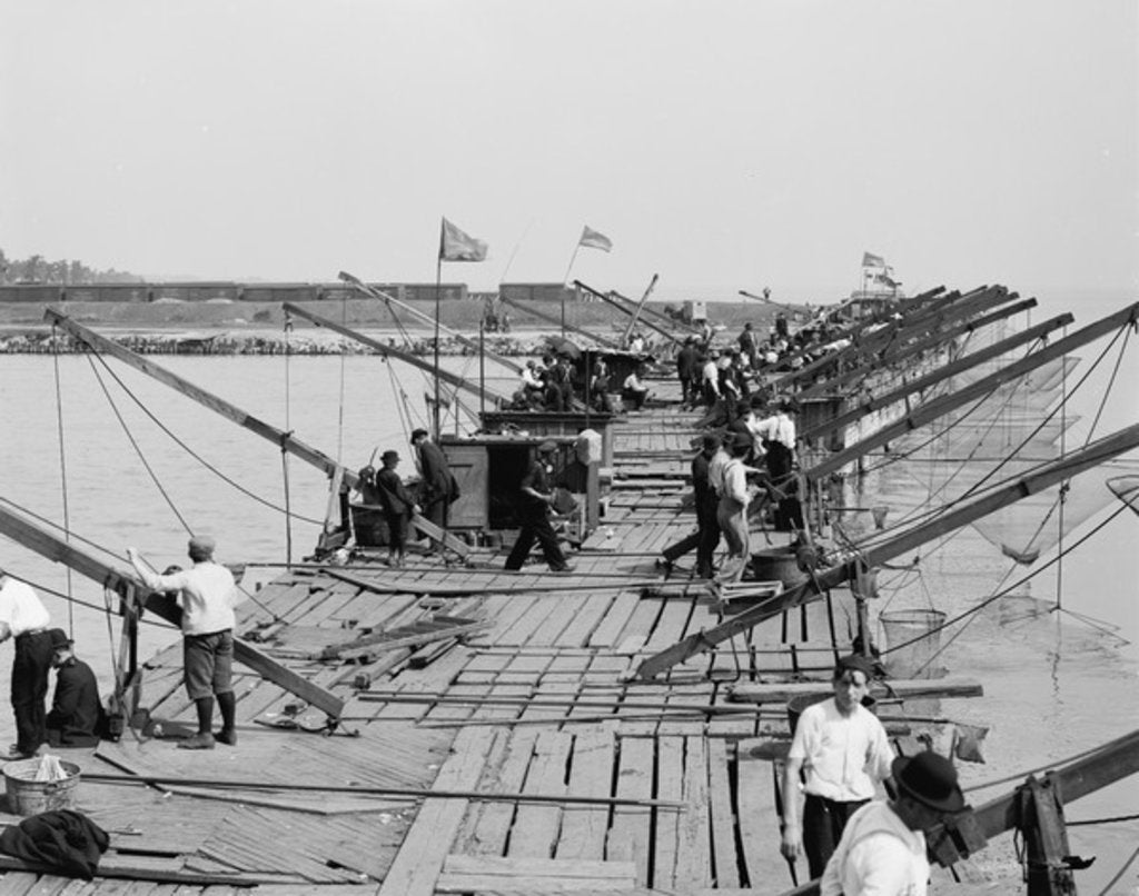 Detail of The Fishing pier, Chicago, Illinois, c.1910-20 by Detroit Publishing Co.