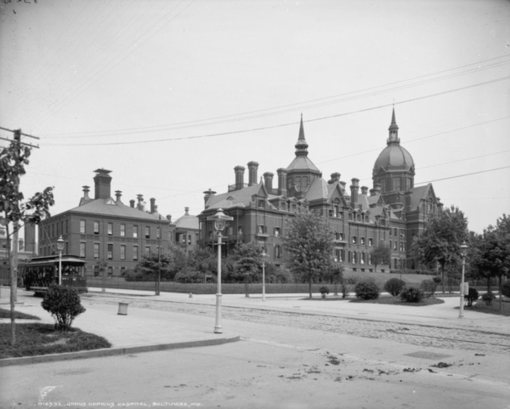 Detail of Johns Hopkins Hospital, Baltimore, Md., c.1903 by Detroit Publishing Co.