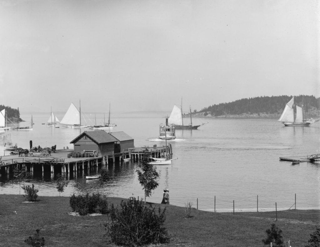 Detail of Bar Harbor, Mt. Desert Island, Maine, the harbour from Newport House, c.1901 by Detroit Publishing Co.