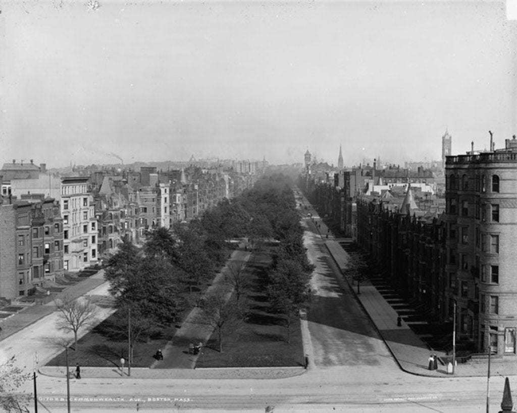 Detail of Commonwealth Ave., Boston, Massachusetts, c.1904 by Detroit Publishing Co.