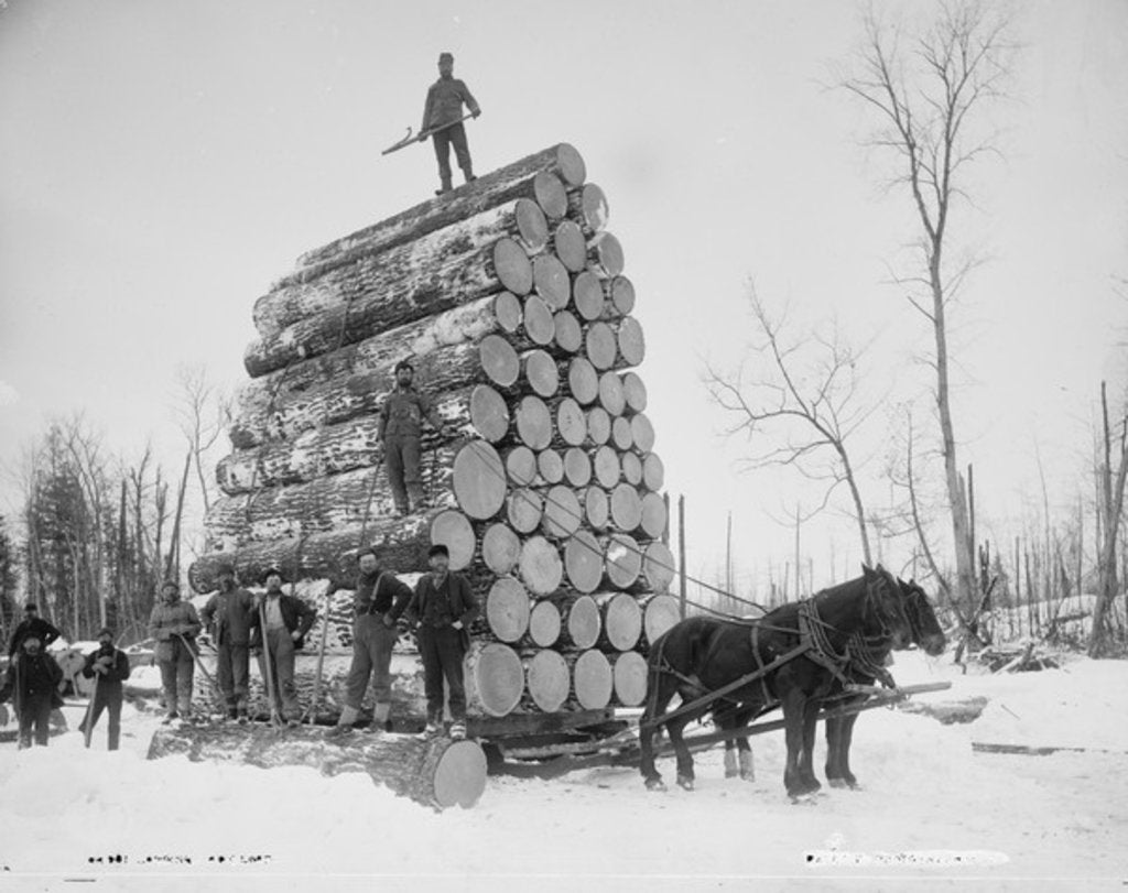 Detail of Logging a big load, Michigan, c.1880-99 by Detroit Publishing Co.
