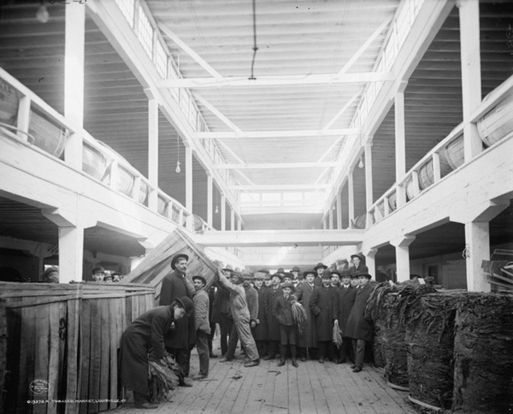 Detail of A tobacco market, Louisville, Kentucky, 1906 by Detroit Publishing Co.
