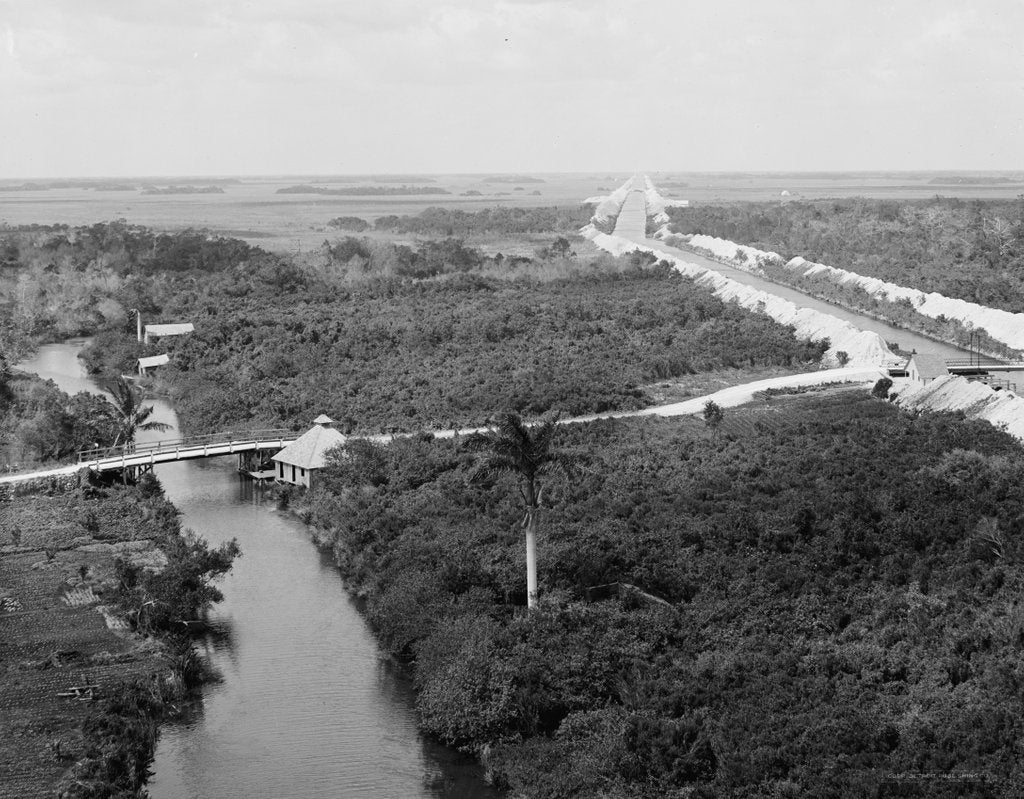 Detail of Drainage canal and Everglades, Miami, Florida, c.1910-20 by Detroit Publishing Co.