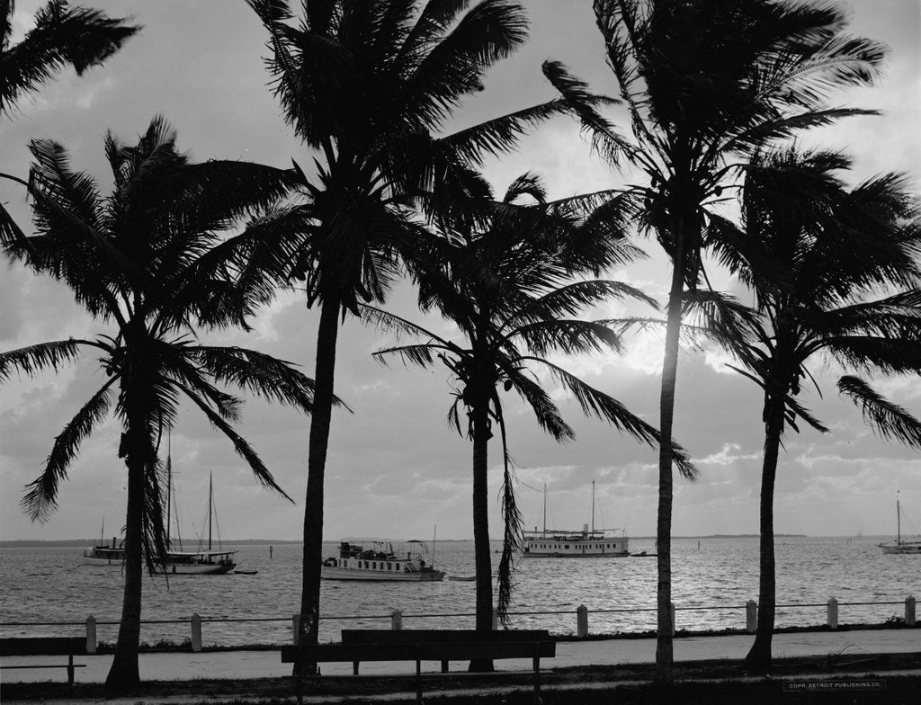 Detail of Sunset, Biscayne Bay, Miami, Florida, c.1910-20 by Detroit Publishing Co.
