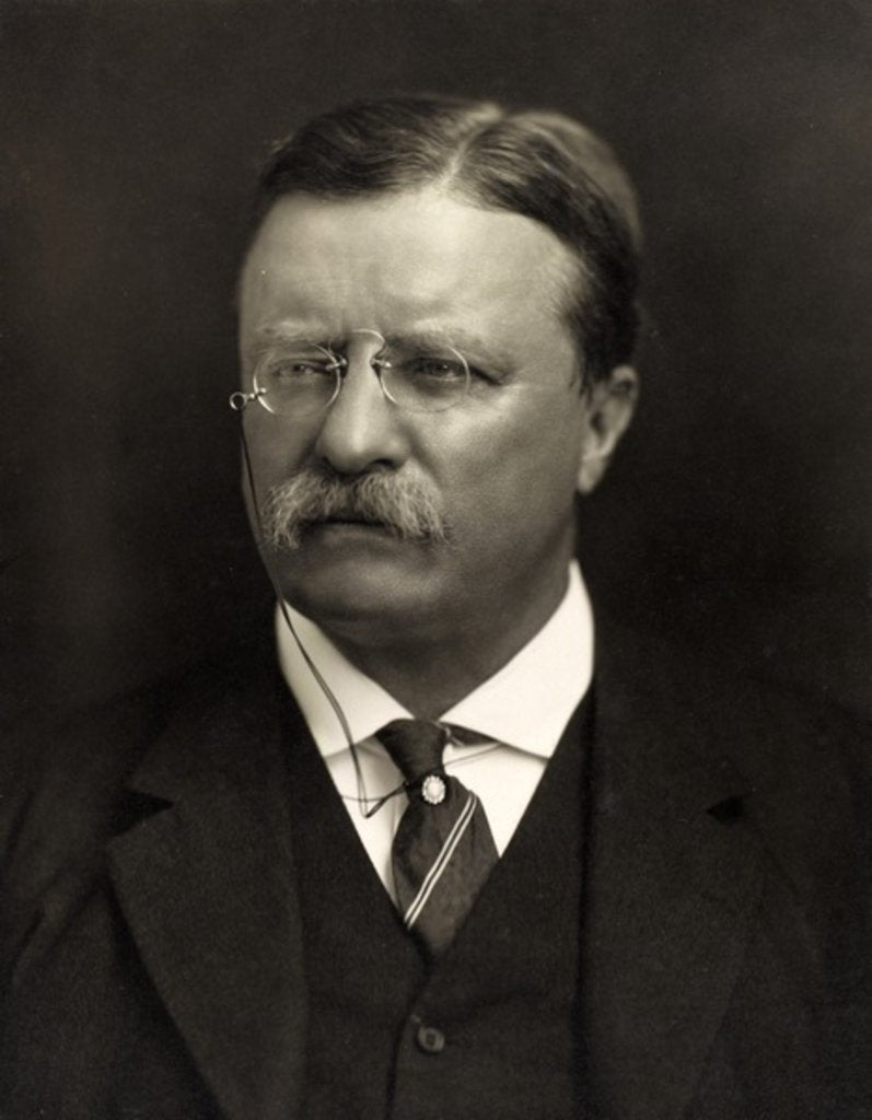 Detail of Theodore Roosevelt by Anonymous