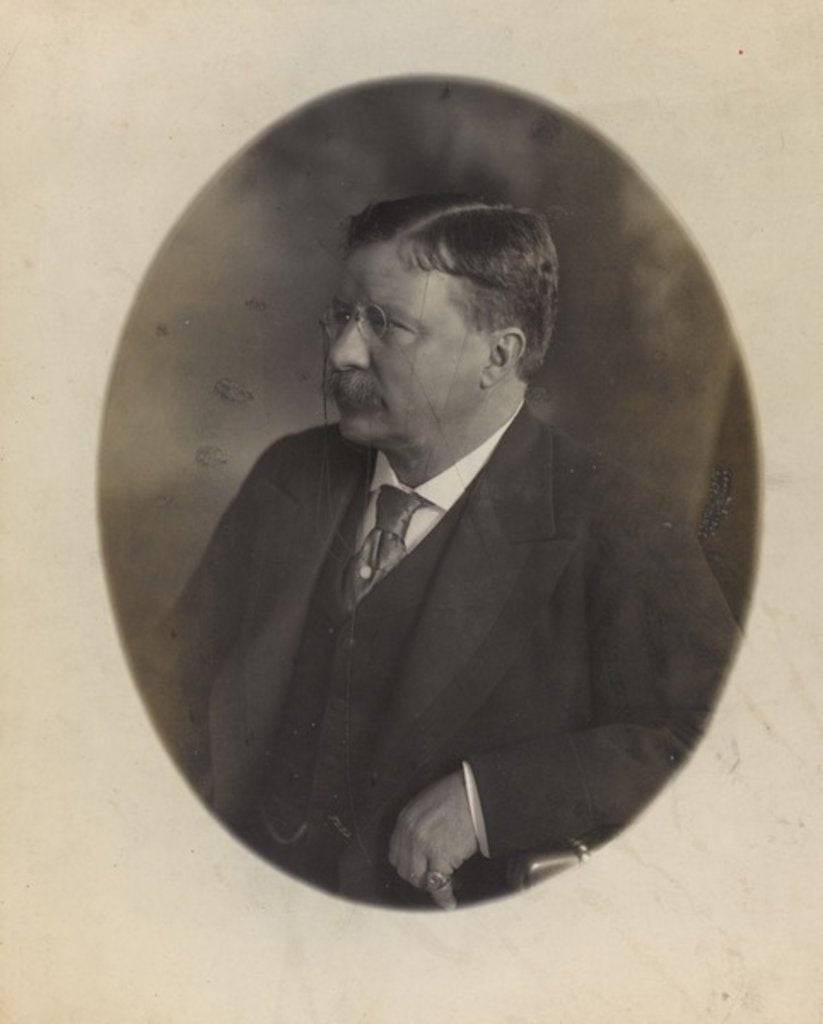 Detail of President Theodore Roosevelt, sitting side face by Anonymous