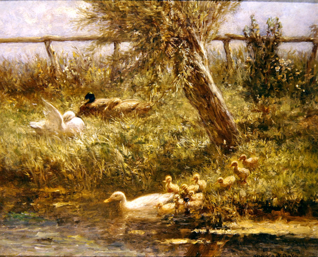 Detail of Ducks and ducklings by David Adolph Constant Artz