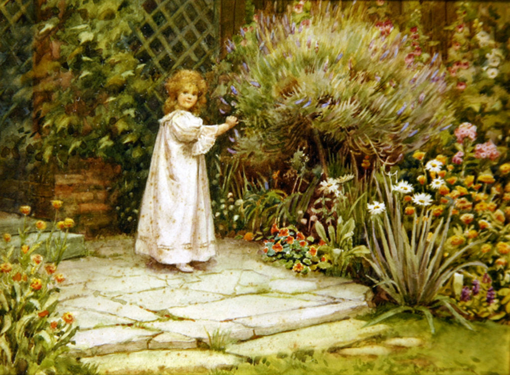 Detail of My Garden by William Ashburner