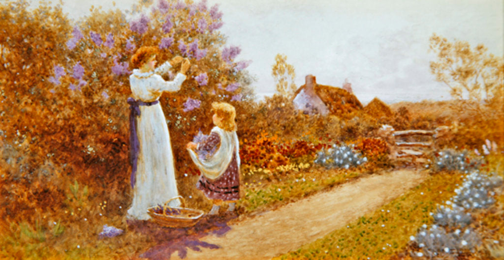 Detail of Lilacs, 1899 by Thomas James Lloyd