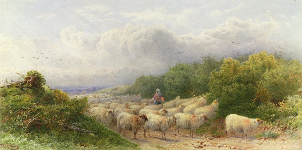 Detail of Sheep on the Downs by William W. Gosling