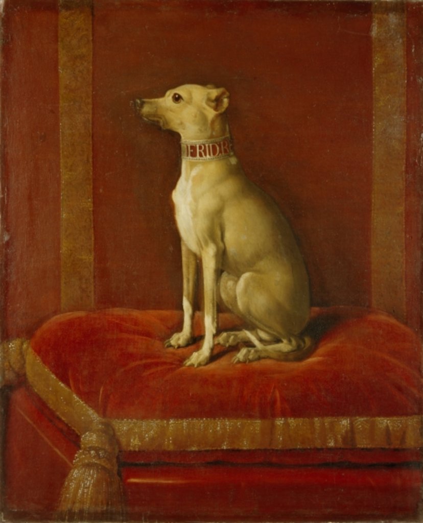 Detail of One of Frederick II's Italian Greyhounds by German School