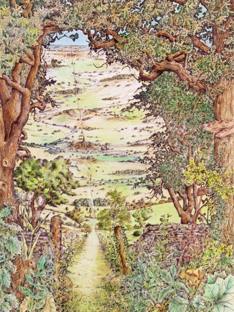 Detail of Ley-line in the English countryside by Anonymous Anonymous