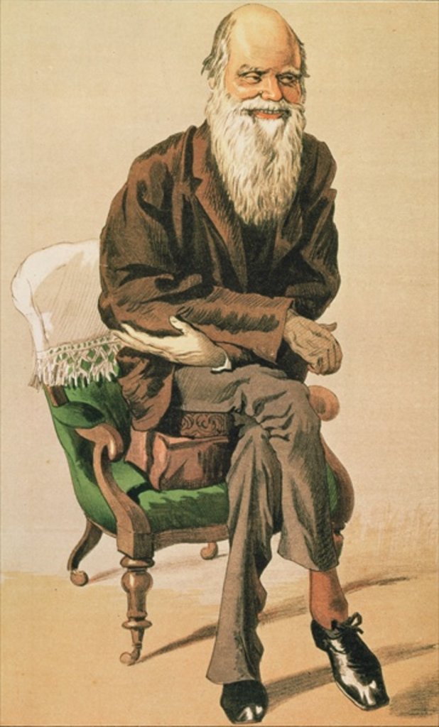 Detail of Men of the Day, no. 33, Charles Darwin, cartoon from Vanity Fair by Anonymous