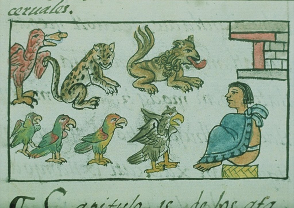 Detail of Ms Palat. 218-220 Book IX Animals of the Aztec Emperor by Spanish School