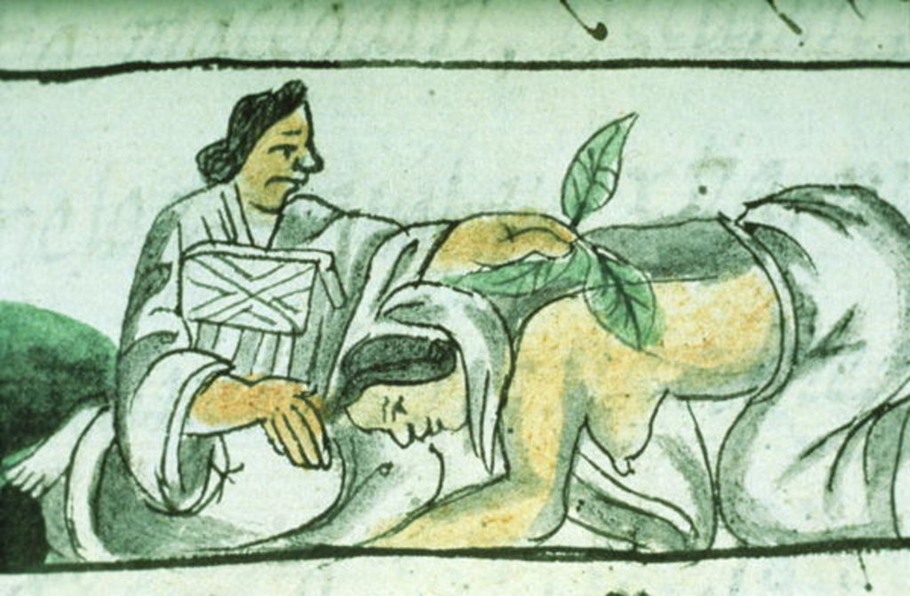 Detail of Ms Palat. 218-220 Book IX Aztec midwife administering herbs to a woman after childbirth by Spanish School