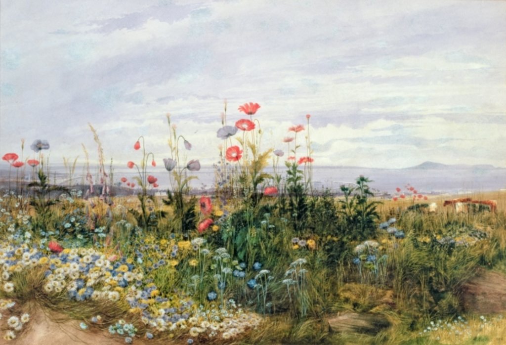 Detail of Fleurs sauvages avec une vue de Dublin Dunleary by Andrew Nicholl